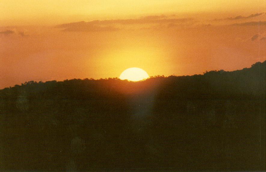 atardecerdelaselva.jpg